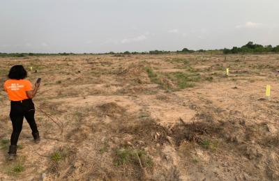 LEGITIMATE HALF PLOT @ TSOPOLI ZION CITY