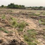 DEMARCATED LANDS >>>PRAMPRAM BEACH ROAD