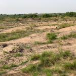 FREE DEMARCATION ON PLOTS - PRAMPRAM BEACH LANE