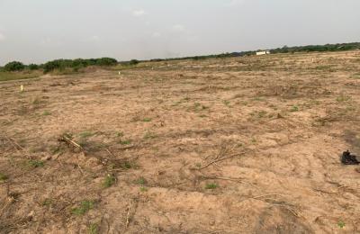 AFFORDABLE PROMOTIONAL HALF PLOT @ TSOPOLI ZION CITY RESIDENCE