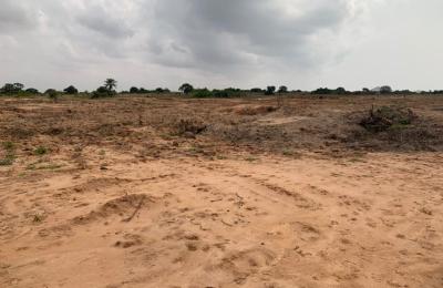 NEW EXECUTIVE DEMARCATED LANDS - TSOPOLI NEW AIRPORT CITY