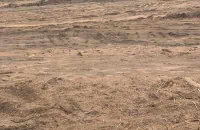 FULLY TITLED ESTATE LANDS // FREE DOCUMENTS - TSOPOLI