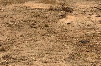 well planned layout estate lands - tsopoli