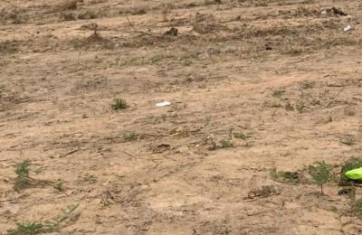 SUNCITY RESIDENCE GATED LANDS - PRAMPRAM BEACH ROAD