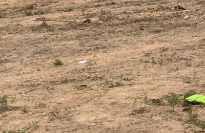 well planned layout estate lands - tsopoli