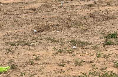 well planned layout estate lands - tsopoli