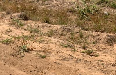 INSTANT PROMOTION ON LANDS AT DAHWENYA B5