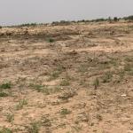 well planned layout estate lands - tsopoli