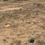 FULL PLOT 70 X 100 SQFT // REGISTERED @ DAHWENYA ZION CITY
