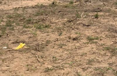 EXECUTIVE CERTIFIED AND TITLED PLOTS @ PRAMPRAM BEACH LANE
