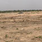 FULL PLOT 70 X 100 SQFT // REGISTERED @ DAHWENYA ZION CITY