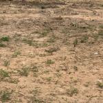 FULL PLOT 70 X 100 SQFT // REGISTERED @ DAHWENYA ZION CITY