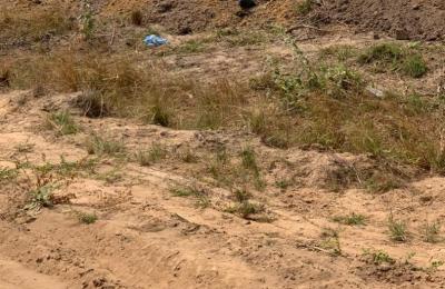 REST ASSURED DOCUMENTED DOCUMENTED LANDS @ PRAMPRAM BEACH LANE
