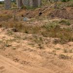 BIGGEST ESTATE COMMUNITY LANDS - DAHWENYA