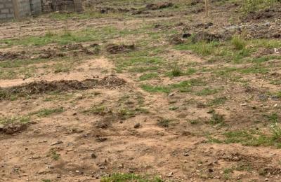 FULLY TITLED ESTATE LANDS // FREE DOCUMENTS - TSOPOLI