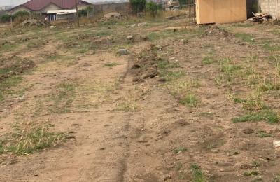 TEMA COMMUNITY 25 LANDS PRICE DROP PLUS FREE DOCUMENTS.