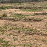 BIGGEST ESTATE COMMUNITY LANDS - DAHWENYA