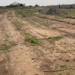 TEMA COMMUNITY 25 LANDS PRICE DROP PLUS FREE DOCUMENTS.