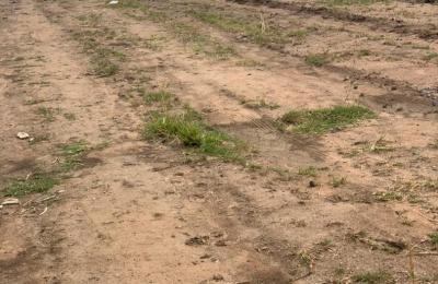 EXECUTIVE CERTIFIED AND TITLED PLOTS @ PRAMPRAM BEACH LANE