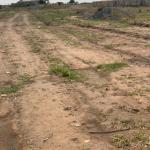 GENUINE LANDS >>> LITIGATION FREE @ PRAMPRAM BEACH LANE