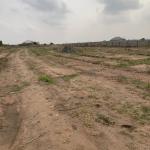 TEMA COMMUNITY 25 LANDS PRICE DROP PLUS FREE DOCUMENTS.