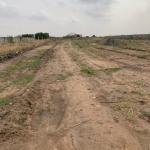 POTABLE LAND SALES /// FREE DOCUMENTS AT PRAMPRAM BEACH ROAD