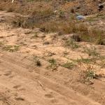 EXQUISITE GATED RESIDENCE LANDS AT DAHWENYA