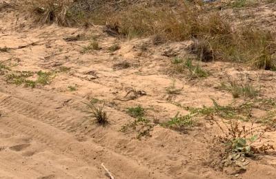 EXQUISITE GATED RESIDENCE LANDS AT DAHWENYA