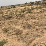 PRICE REDUCTION ON PLOTS - DAHWENYA B5