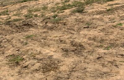 PRICE REDUCTION ON PLOTS - DAHWENYA B5