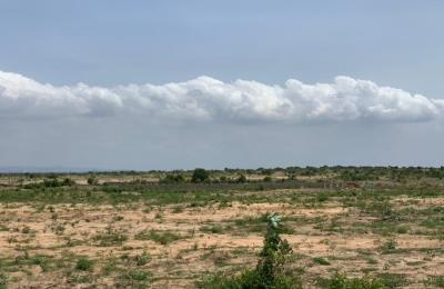 ZION CITY RESIDENCE LANDS >>> WELL SERVICED - TSOPOLI
