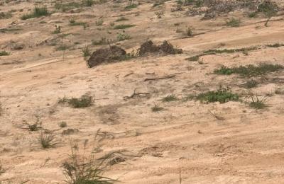 NO ISSUES ON LITIGATION FREE LANDS >>> DAHWENYA