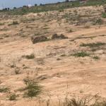 TITLED LAYOUT LANDS @ TSOPOLI ZION CITY RESIDENCE