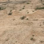 LEGALLY DEMARCATED HALF PLOT AT PRAMPRAM