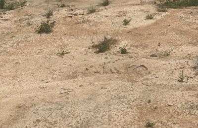 LEGALLY DEMARCATED HALF PLOT AT PRAMPRAM