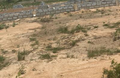 NO ISSUES ON LITIGATION FREE LANDS >>> DAHWENYA