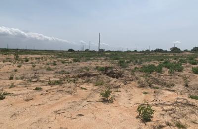 NO ISSUES ON LITIGATION FREE LANDS >>> DAHWENYA