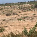 NO ISSUES ON LITIGATION FREE LANDS >>> DAHWENYA