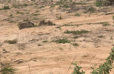 TITLED LAYOUT LANDS @ TSOPOLI ZION CITY RESIDENCE