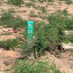 REGISTERED LANDS PROMO AT TSOPOLI ZION CITY