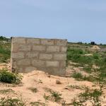 GATED FULL PLOTS // LITIGATION FREE - TSOPOLI ZION CITY RESIDENCE