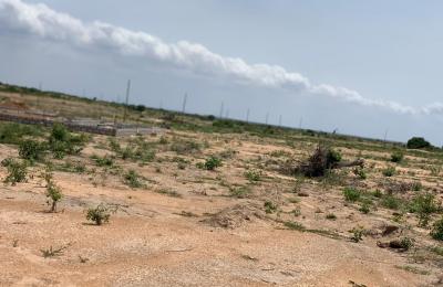 GATED FULL PLOTS // LITIGATION FREE - TSOPOLI ZION CITY RESIDENCE