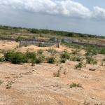 GATED FULL PLOTS // LITIGATION FREE - TSOPOLI ZION CITY RESIDENCE