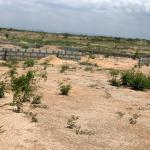 BEAUTIFUL ESTATE LAND PROPERTY @ TEMA COMMUNITY 25