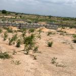 AMAZING PLOTS AT LOW PRICE @ DAHWENYA B5