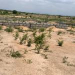 CHOOSE A PLOT PLUS FREE DOCUMENTS - TSOPOLI NEW AIRPORT CITY
