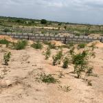 AMAZING PLOTS AT LOW PRICE @ DAHWENYA B5