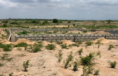 GATED FULL PLOTS // LITIGATION FREE - TSOPOLI ZION CITY RESIDENCE
