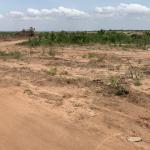 HUGE GATED RESIDENTIAL LANDS - TSOPOLI ZION CITY