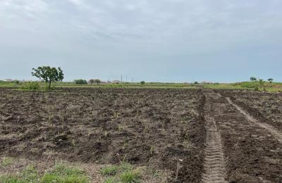 CLASSIC SUNCITY RESIDENCE PLOTS - PRAMPRAM BEACH LANE